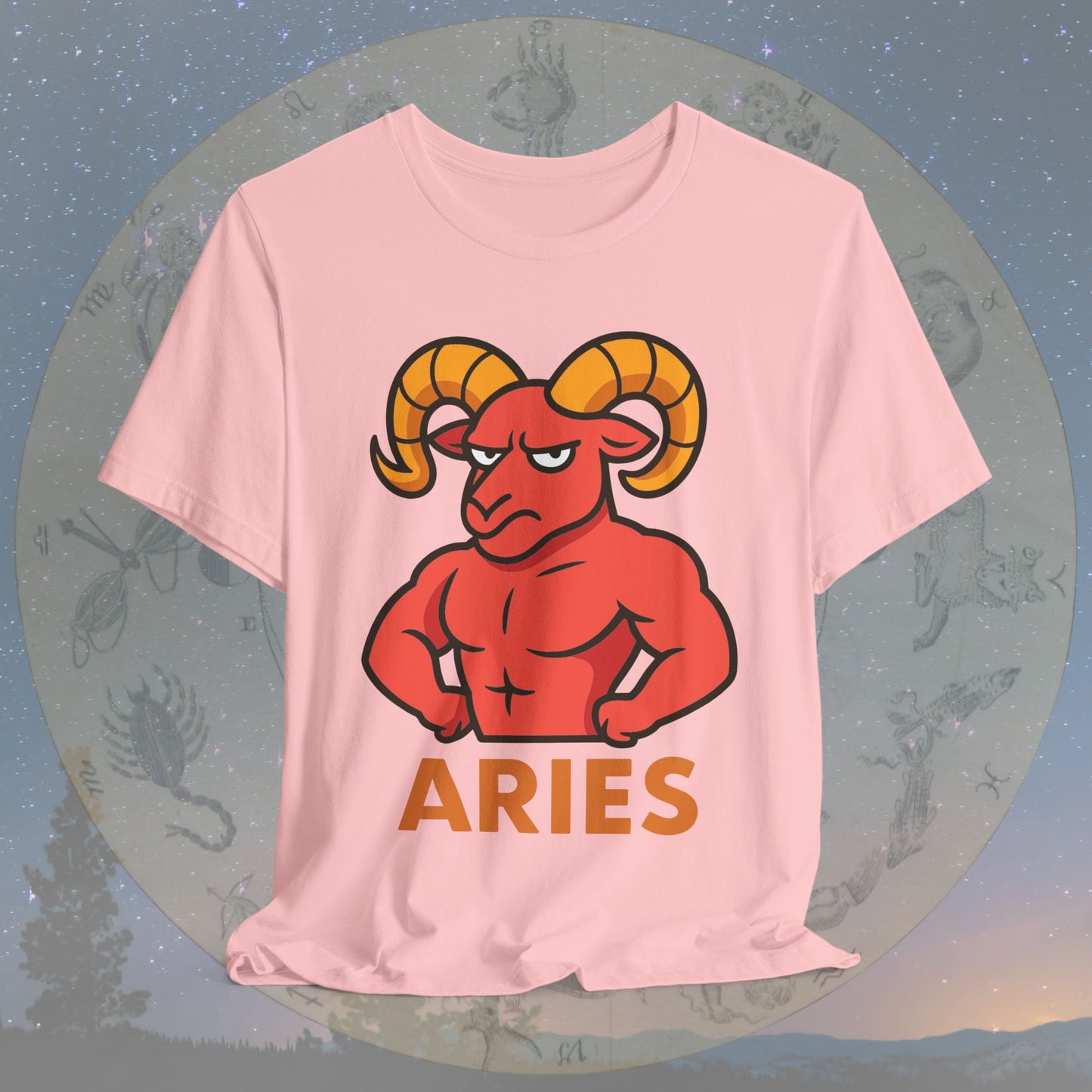 Funny Fierce Aries Zodiac Sign T-Shirt