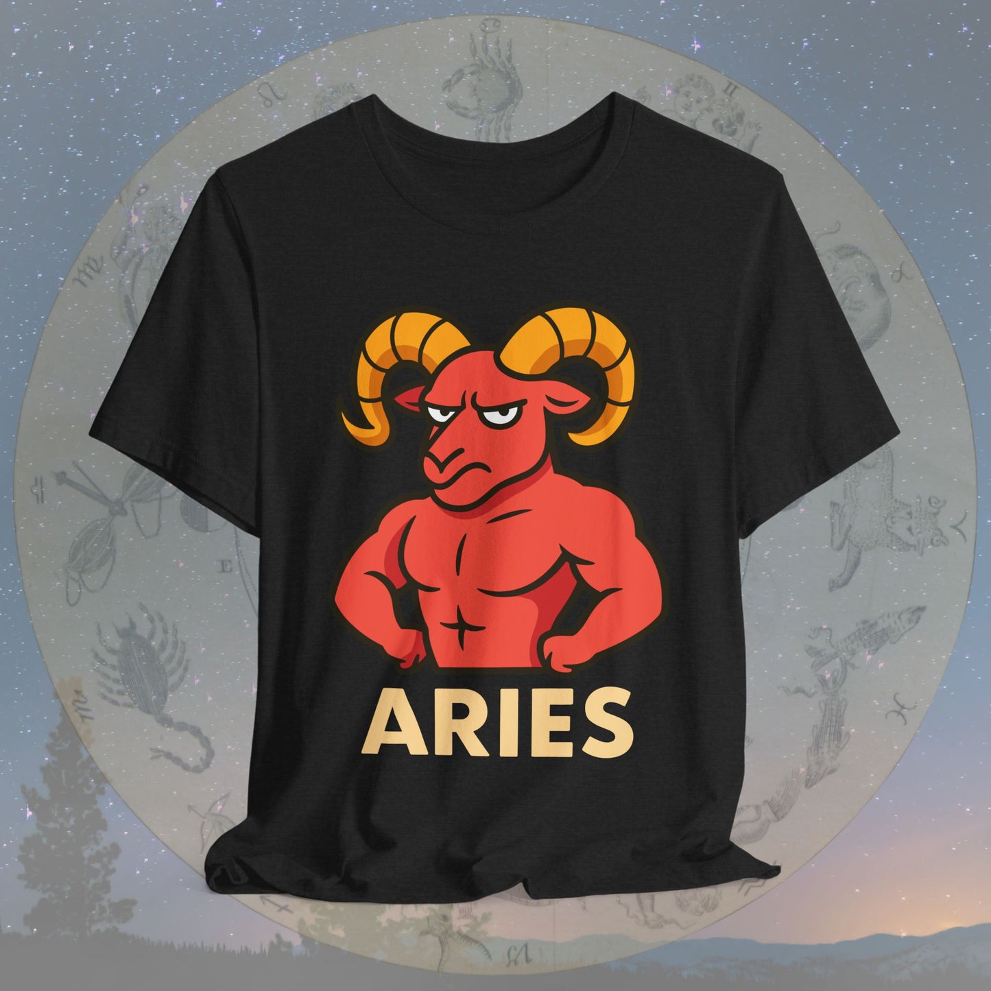 Funny Fierce Aries Zodiac Sign T-Shirt