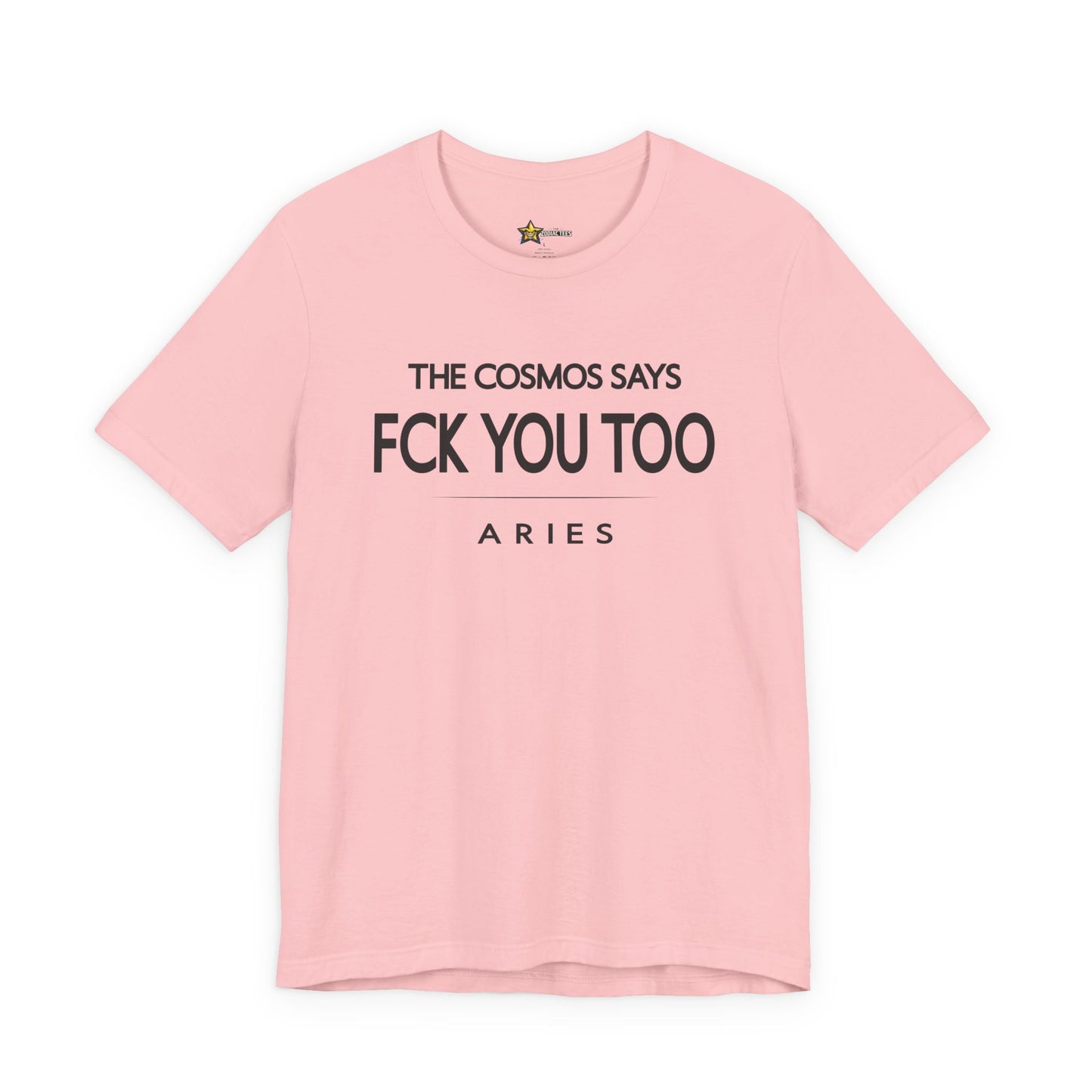 Aries Bold No-Nonsense T-Shirt – FCK You Too Attitude Tee