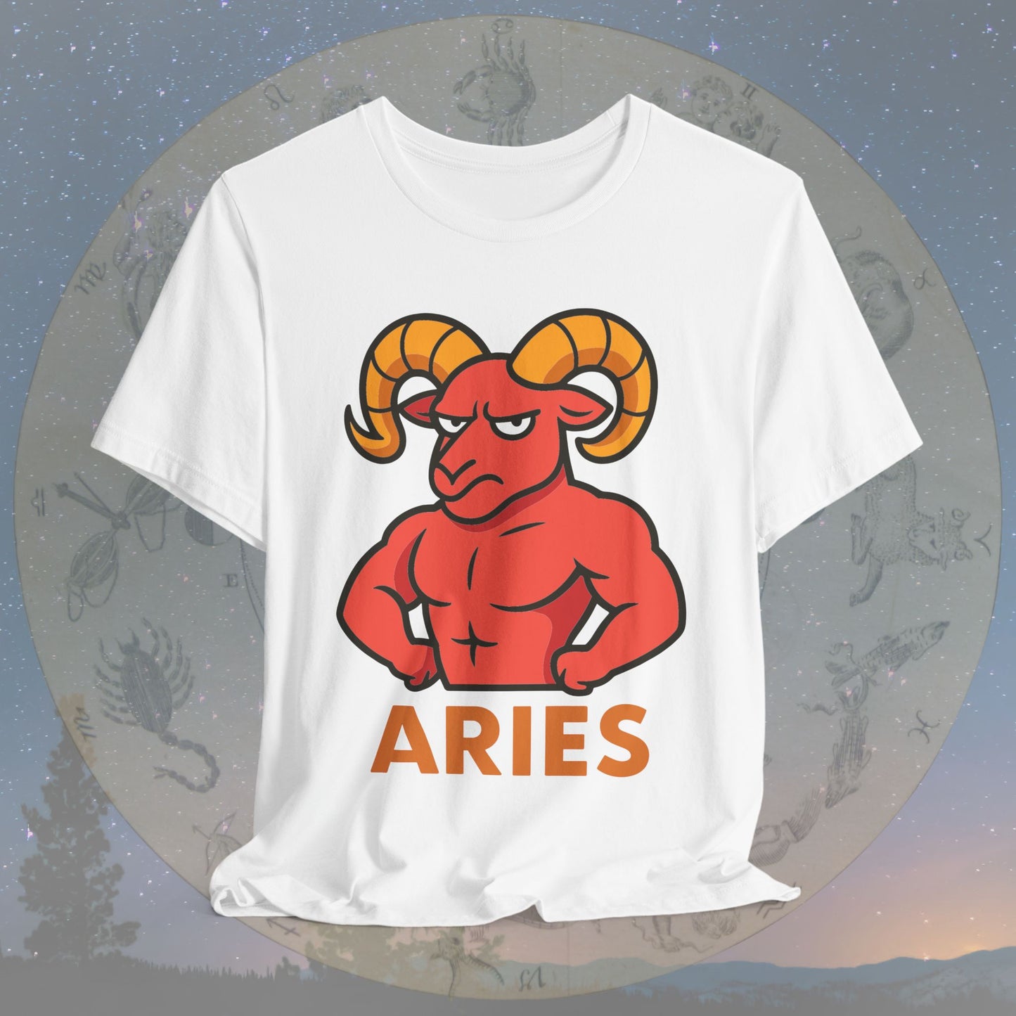 Funny Fierce Aries Zodiac Sign T-Shirt