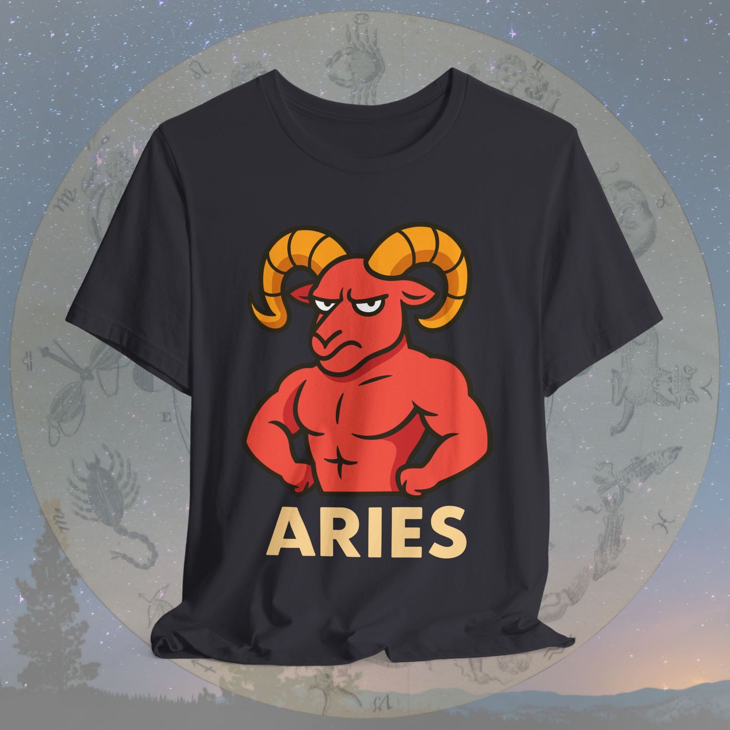 Funny Fierce Aries Zodiac Sign T-Shirt