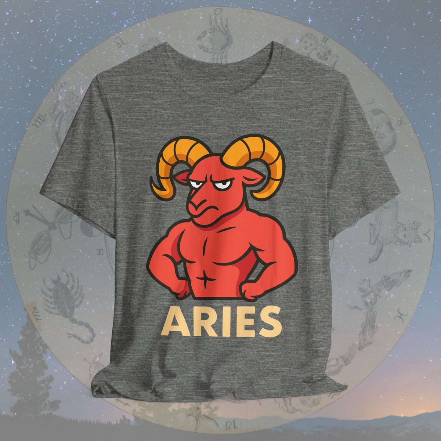 Funny Fierce Aries Zodiac Sign T-Shirt