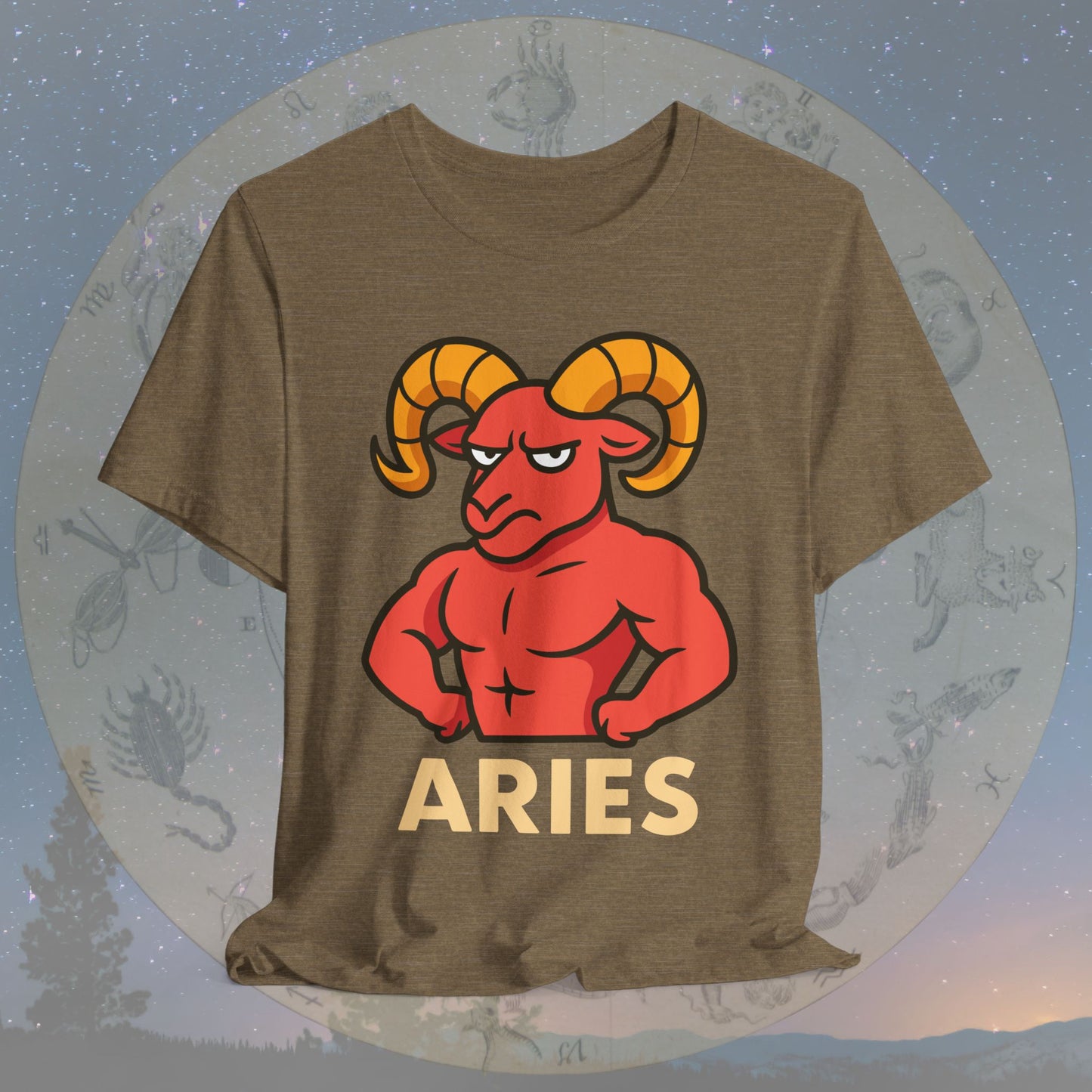 Funny Fierce Aries Zodiac Sign T-Shirt