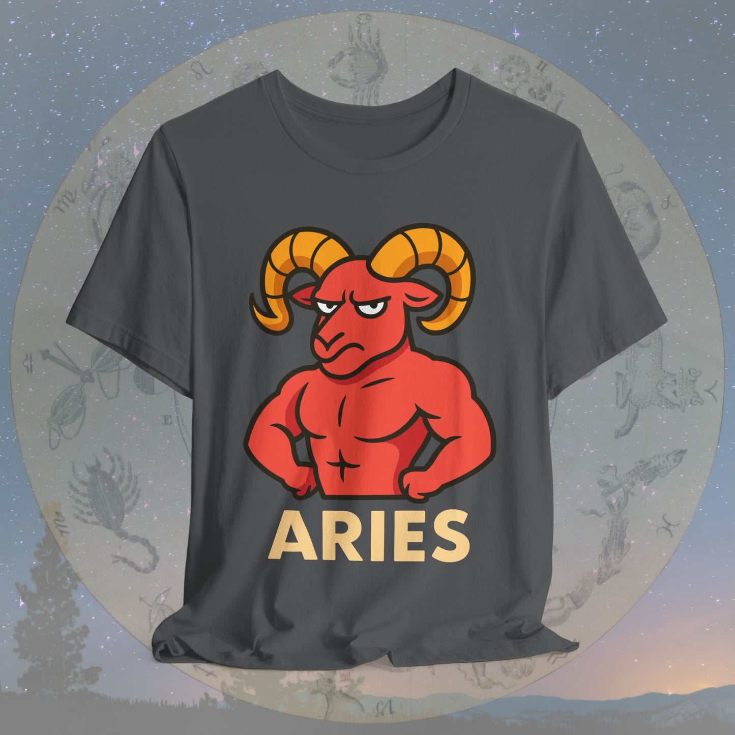Funny Fierce Aries Zodiac Sign T-Shirt