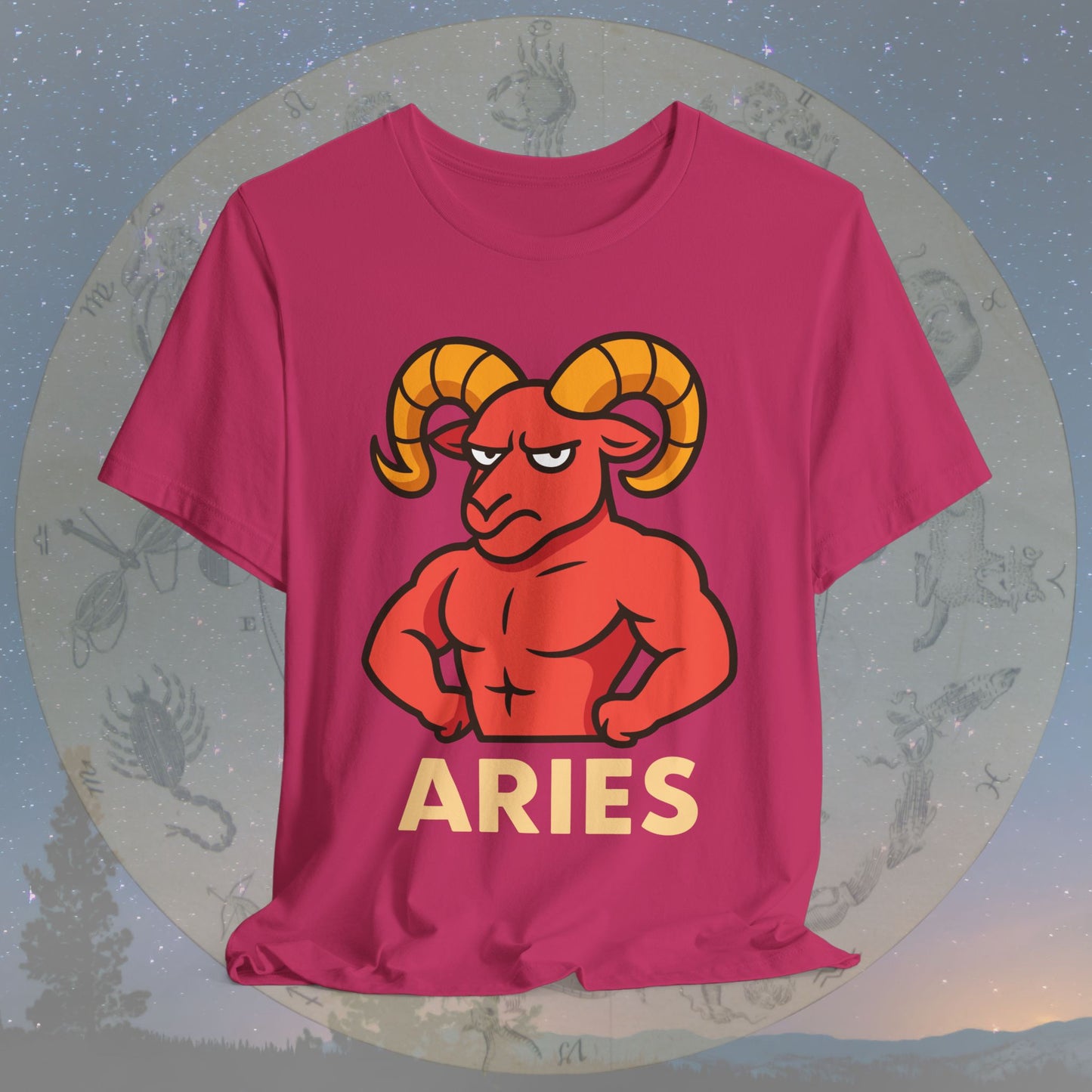 Funny Fierce Aries Zodiac Sign T-Shirt