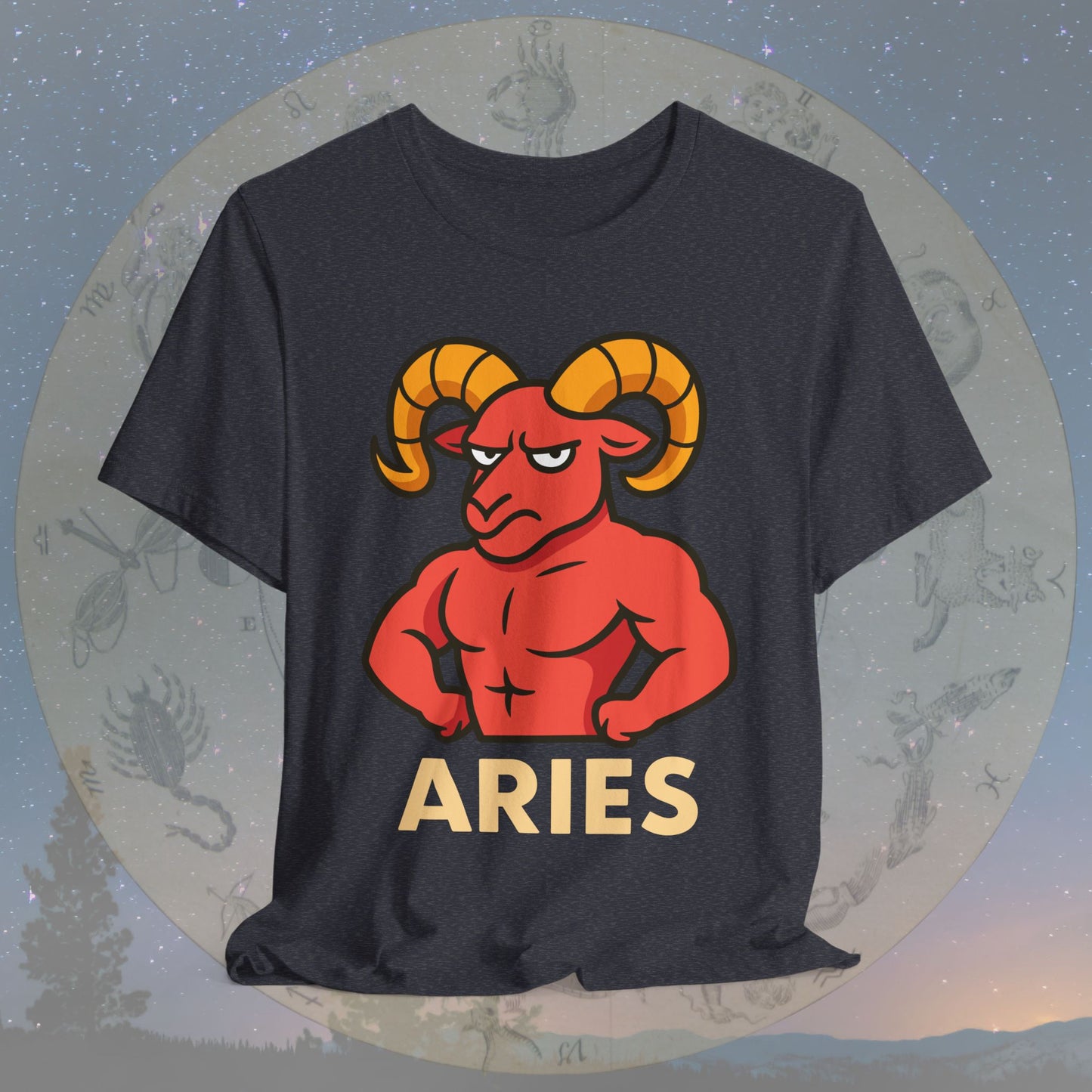 Funny Fierce Aries Zodiac Sign T-Shirt