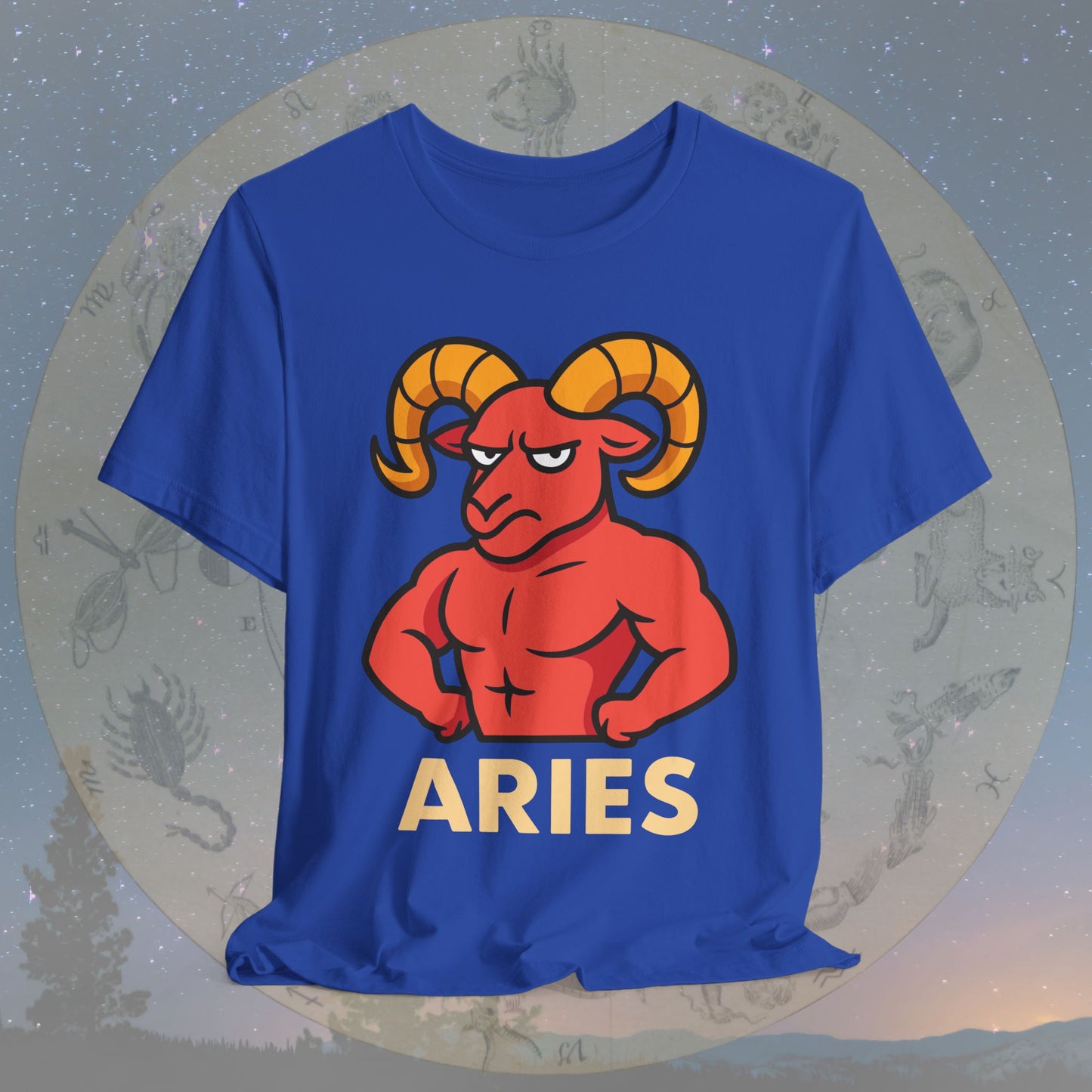 Funny Fierce Aries Zodiac Sign T-Shirt
