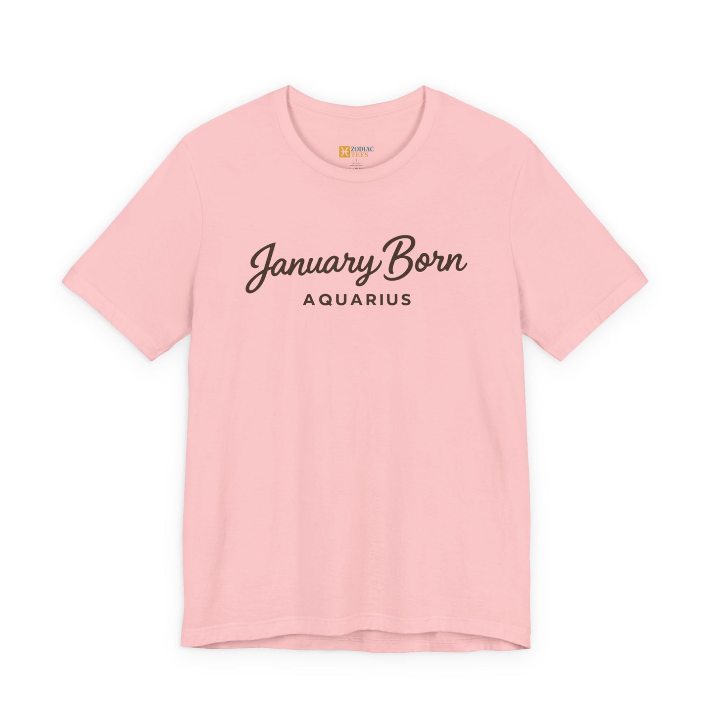 January Born Aquarius T-Shirt – Minimal Zodiac Birthday Tee
