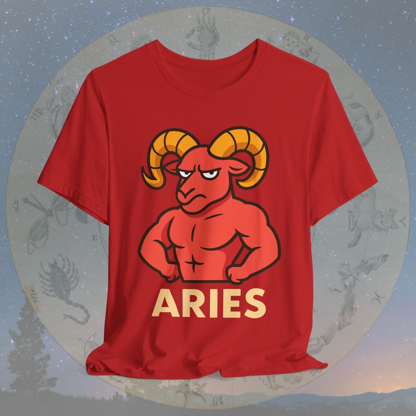 Funny Fierce Aries Zodiac Sign T-Shirt