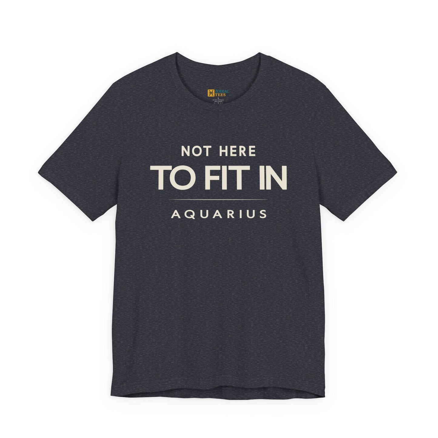 Aquarius Not Here to Fit In T-Shirt