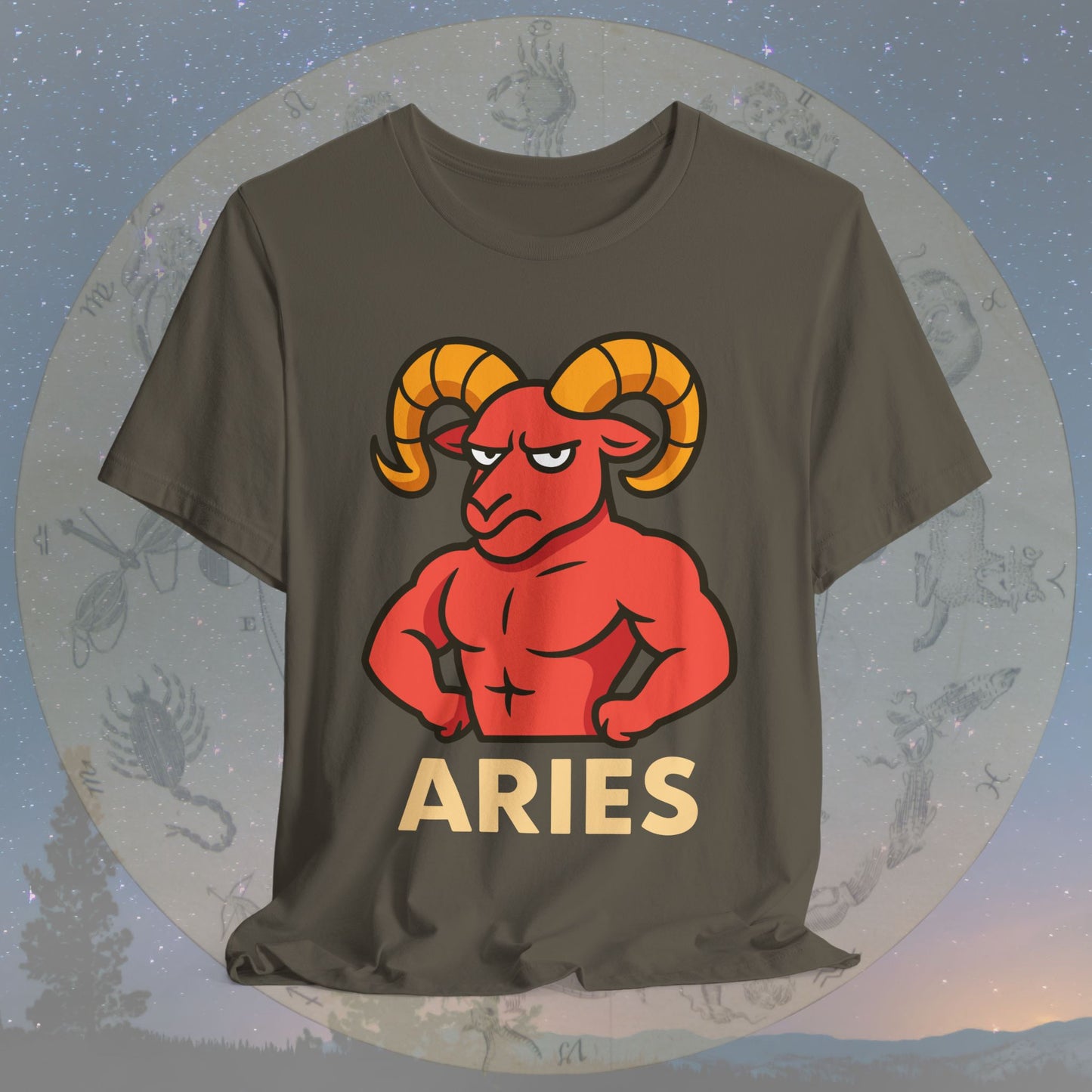 Funny Fierce Aries Zodiac Sign T-Shirt