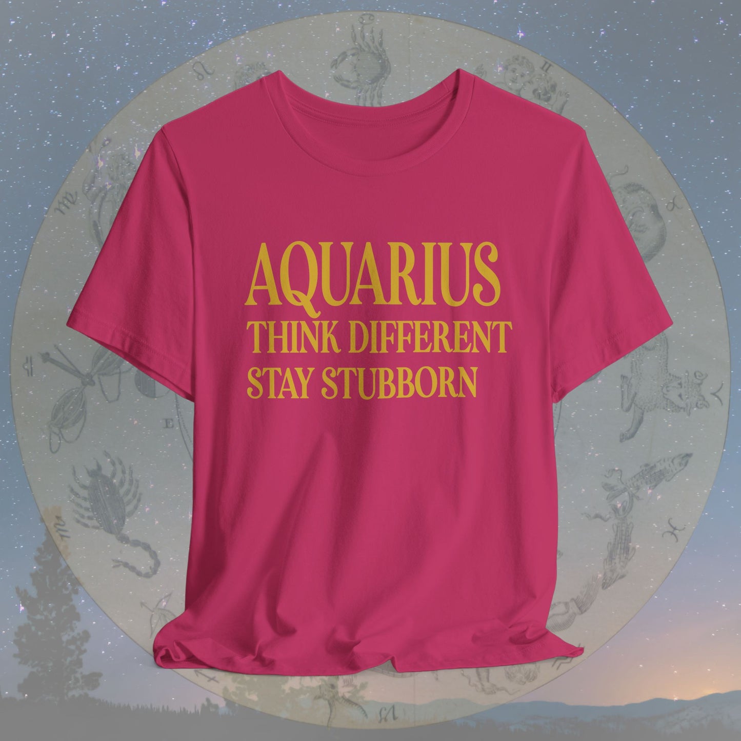 Aquarius Rebel Mind T-Shirt