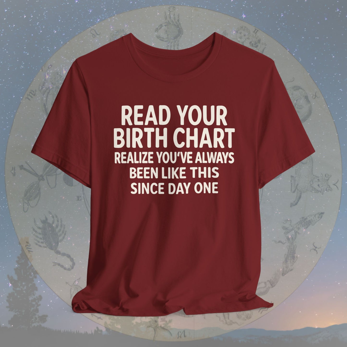 Funny Birth Chart Since Day One T-Shirt