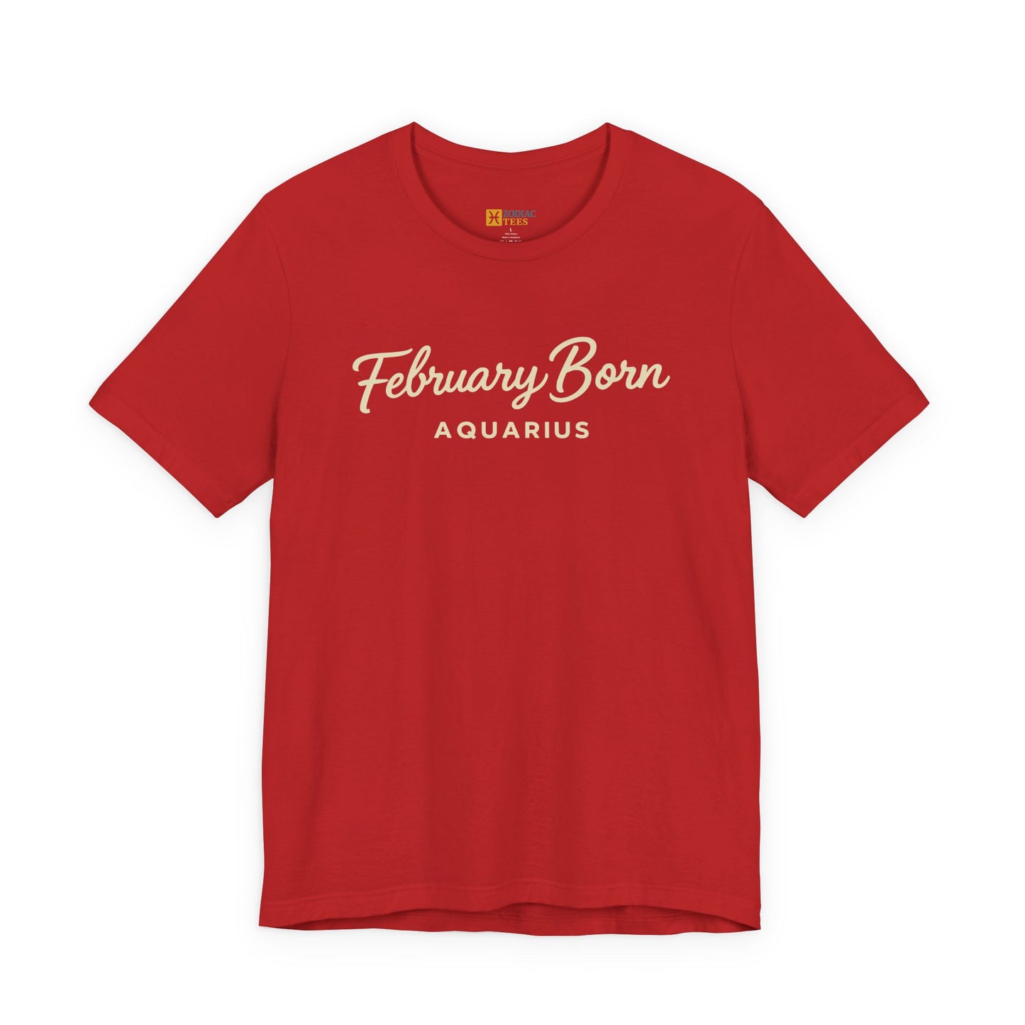 February Born Aquarius T-Shirt – Minimal Zodiac Birthday Tee