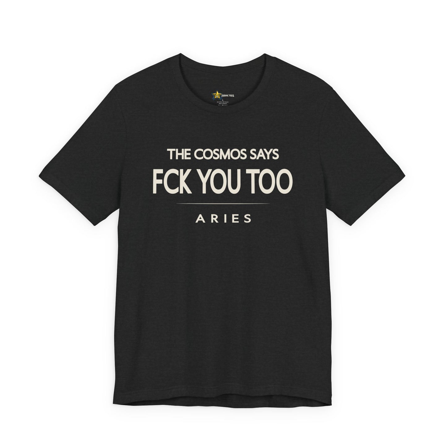 Aries Bold No-Nonsense T-Shirt – FCK You Too Attitude Tee