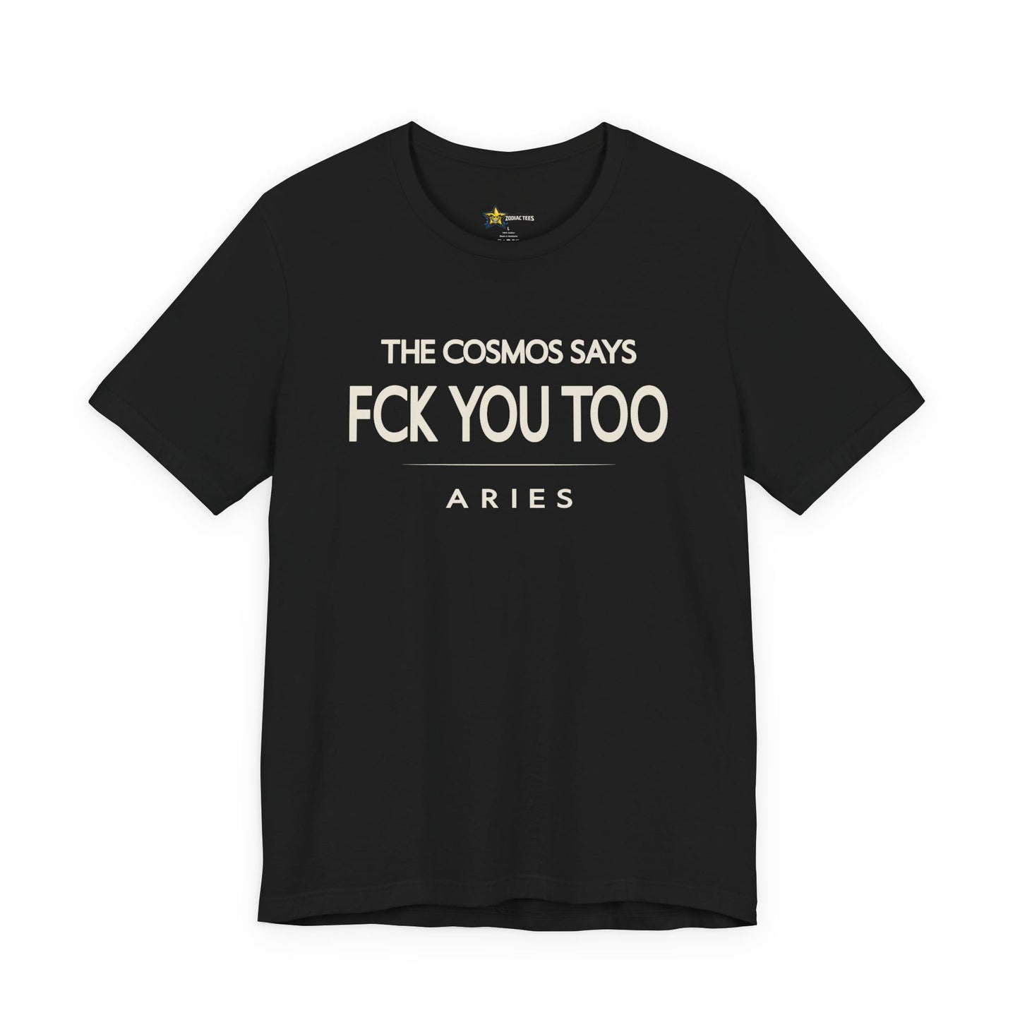Aries Bold No-Nonsense T-Shirt – FCK You Too Attitude Tee