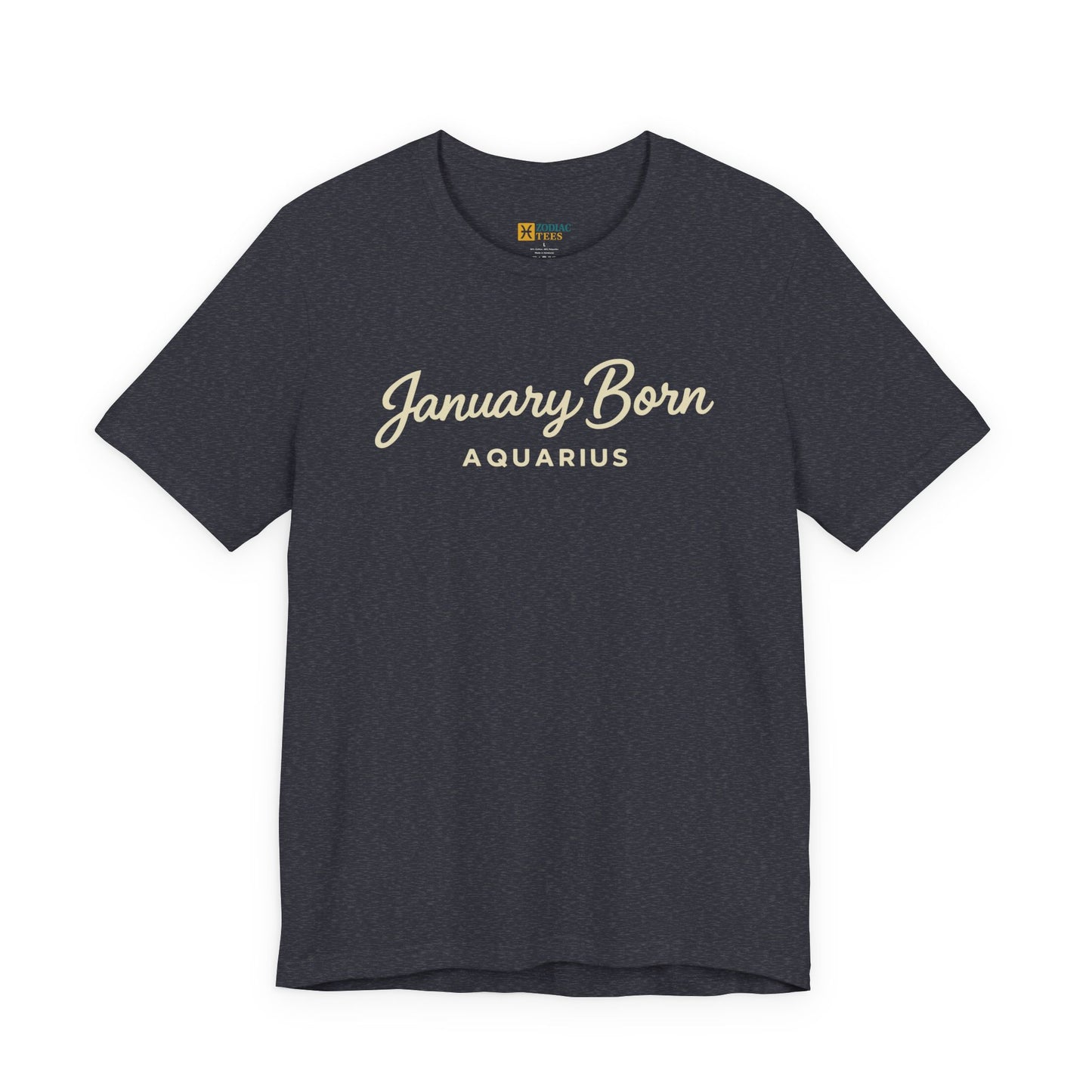January Born Aquarius T-Shirt – Minimal Zodiac Birthday Tee