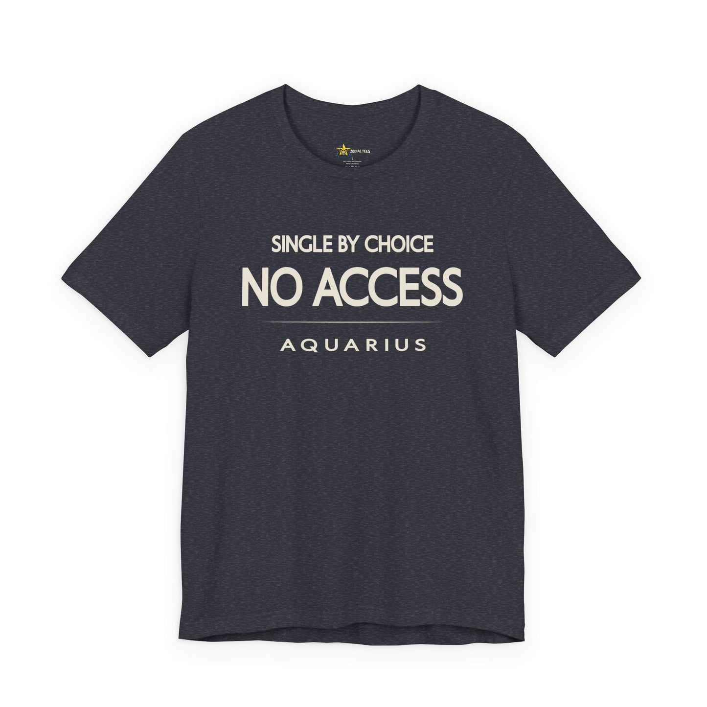 Aquarius No Access T-Shirt