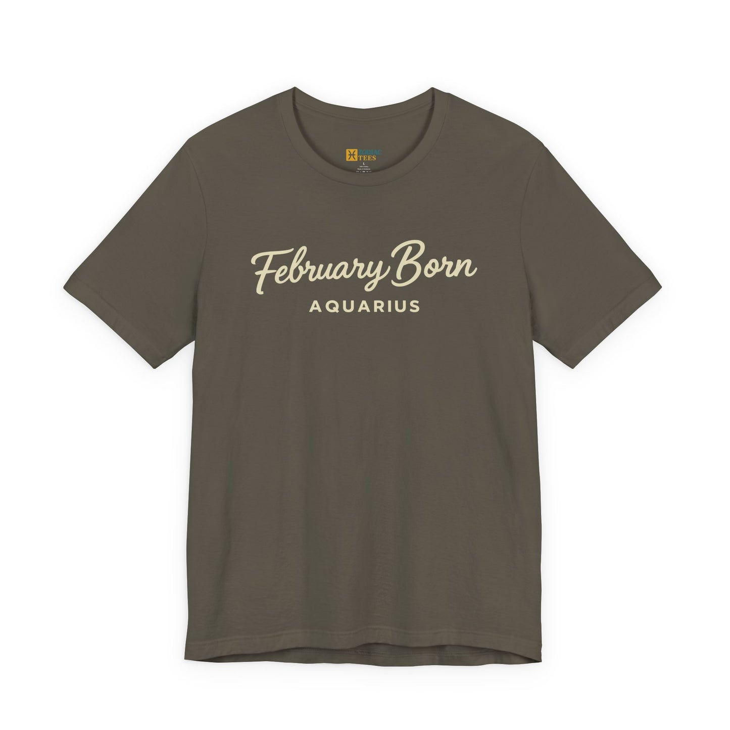 February Born Aquarius T-Shirt – Minimal Zodiac Birthday Tee