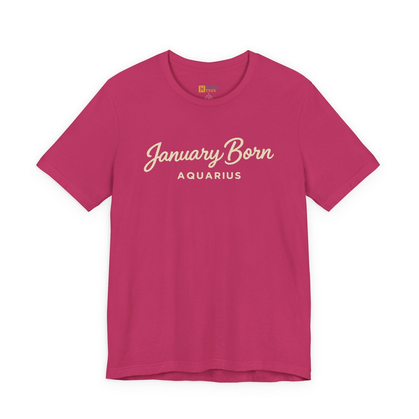 January Born Aquarius T-Shirt – Minimal Zodiac Birthday Tee