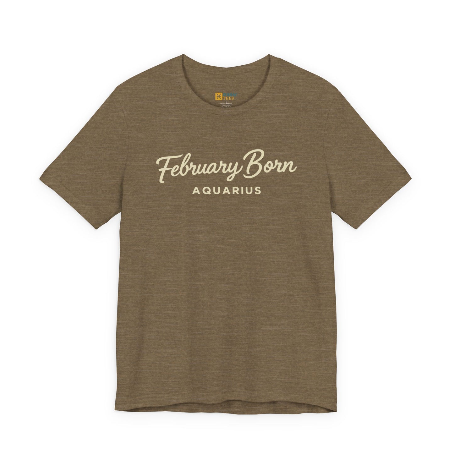 February Born Aquarius T-Shirt – Minimal Zodiac Birthday Tee