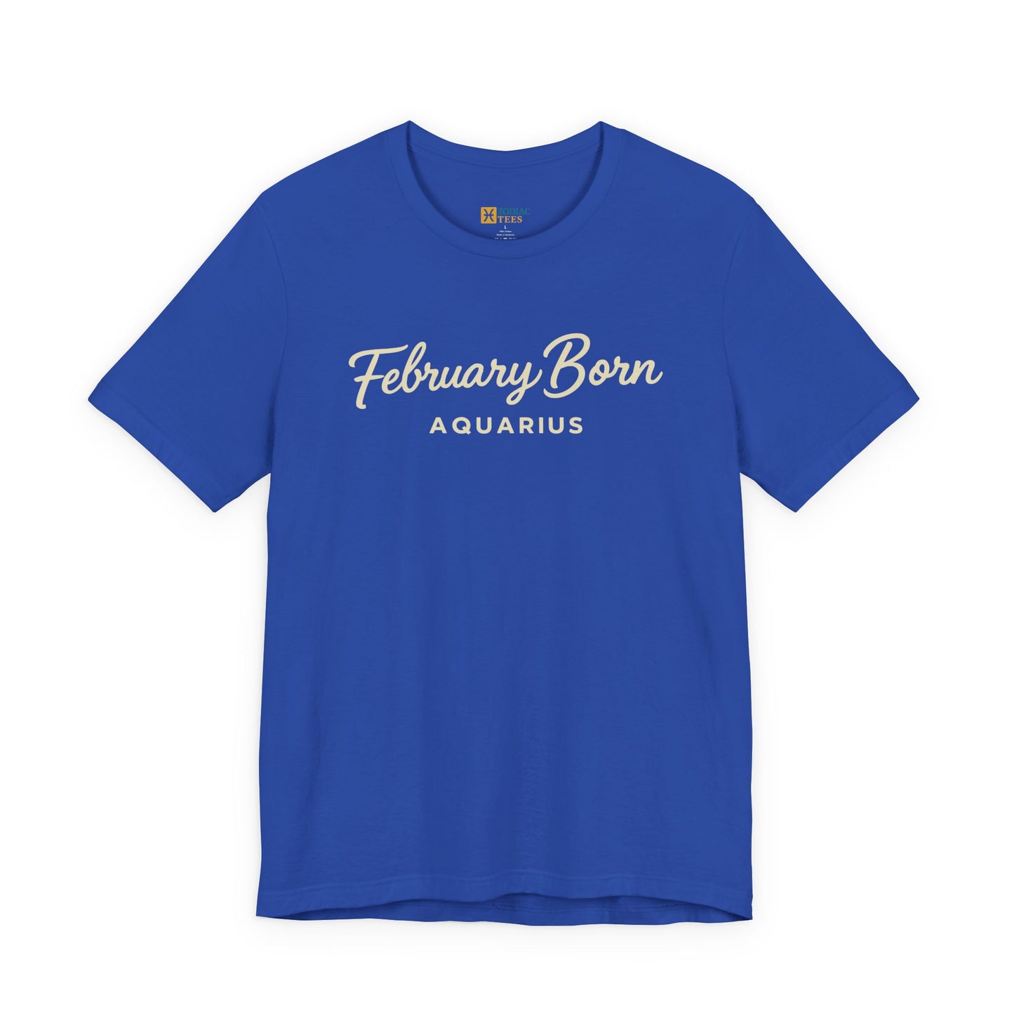 February Born Aquarius T-Shirt – Minimal Zodiac Birthday Tee