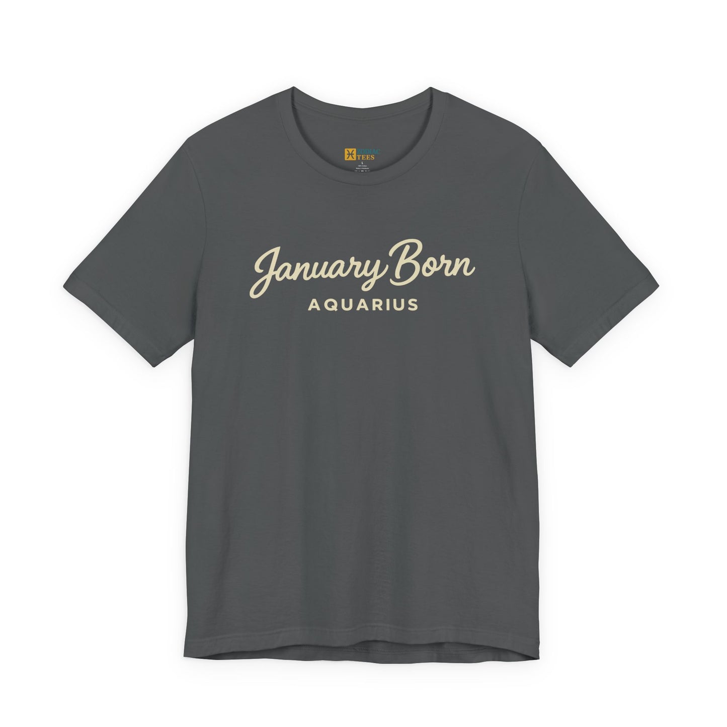 January Born Aquarius T-Shirt – Minimal Zodiac Birthday Tee