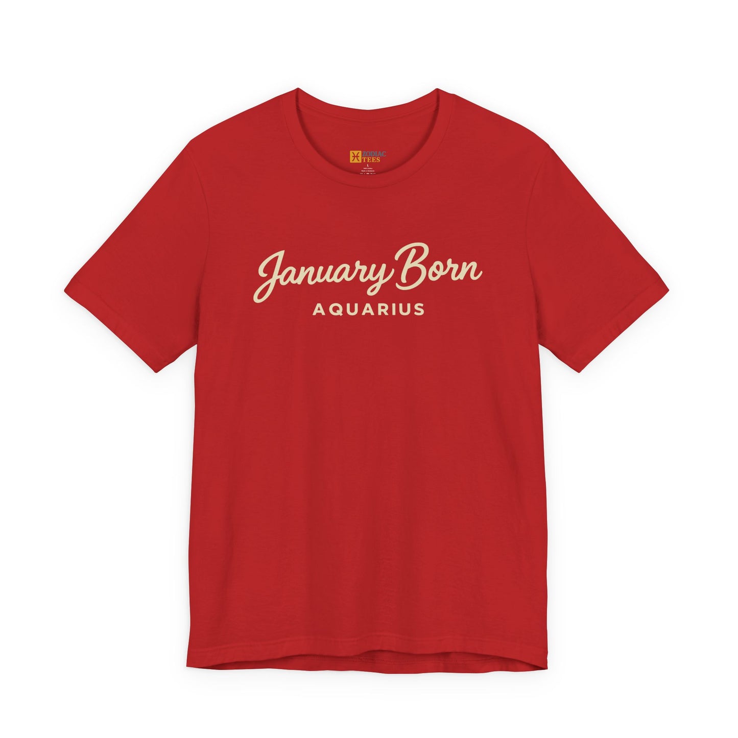 January Born Aquarius T-Shirt – Minimal Zodiac Birthday Tee