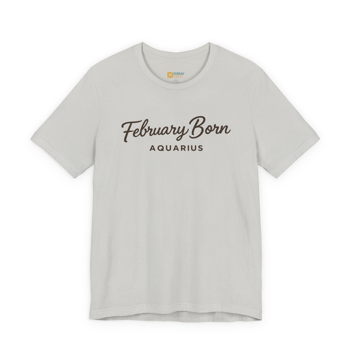 February Born Aquarius T-Shirt – Minimal Zodiac Birthday Tee