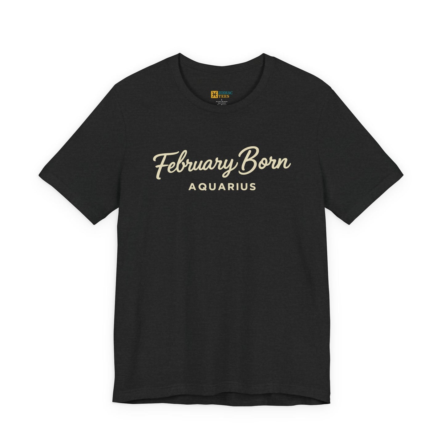 February Born Aquarius T-Shirt – Minimal Zodiac Birthday Tee