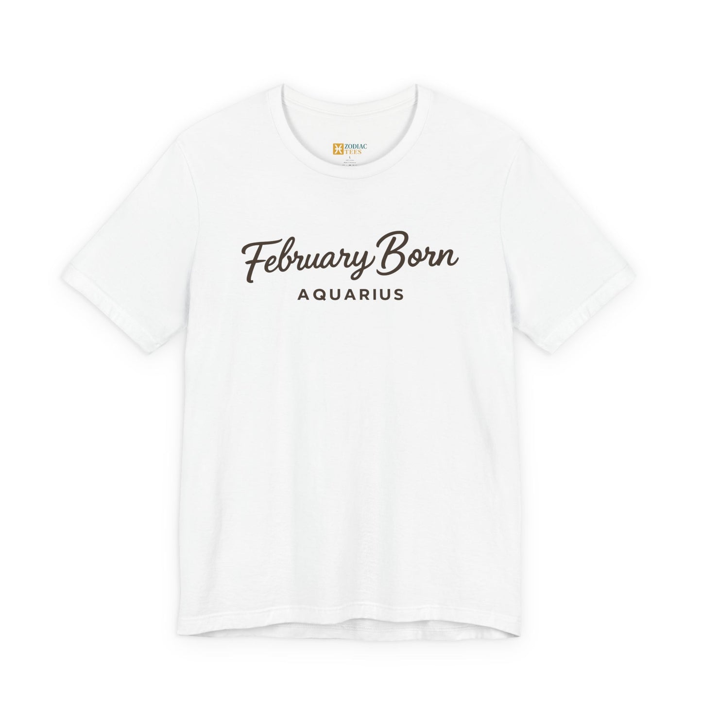 February Born Aquarius T-Shirt – Minimal Zodiac Birthday Tee