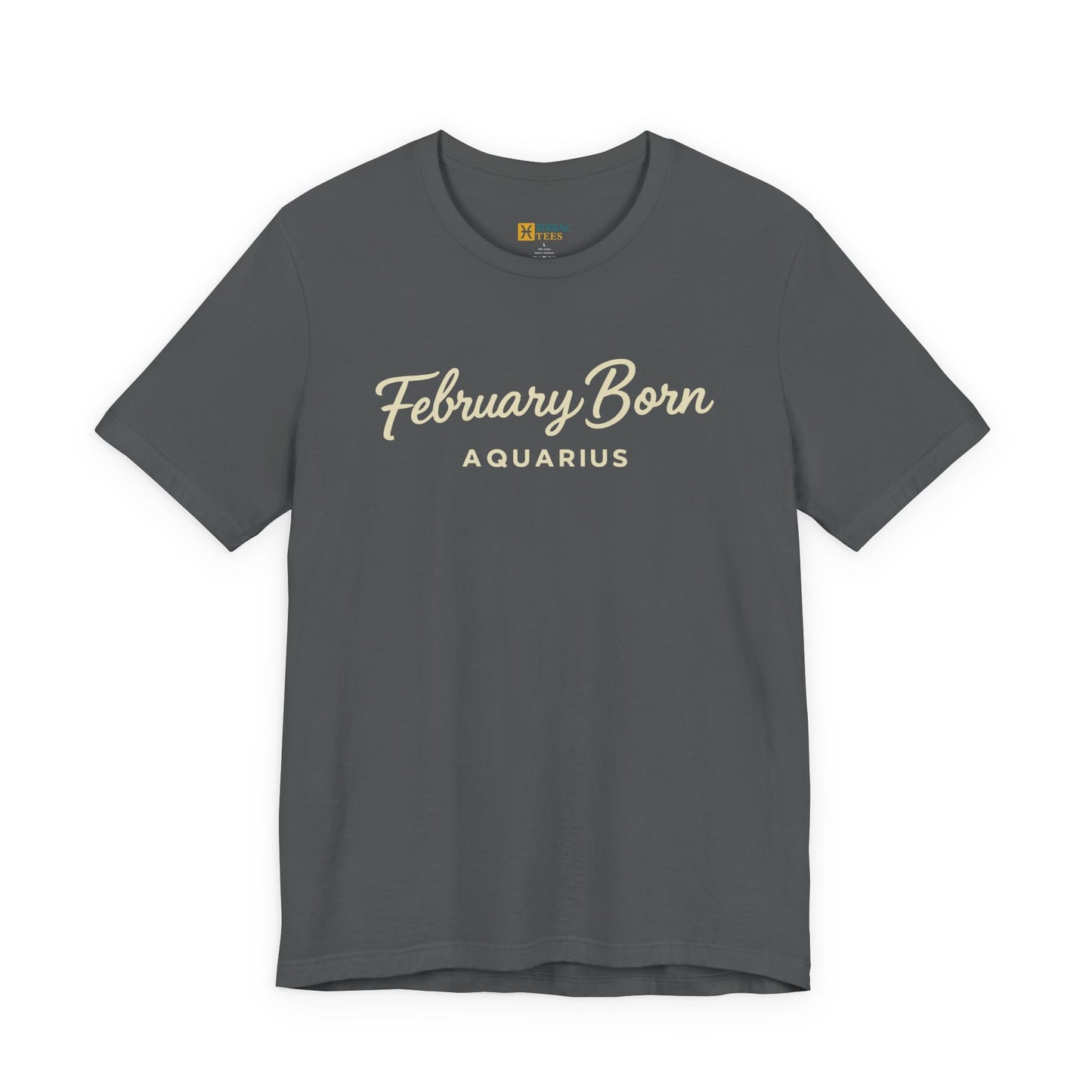 February Born Aquarius T-Shirt – Minimal Zodiac Birthday Tee