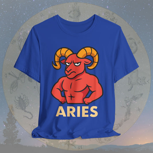 Funny Fierce Aries Zodiac Sign T-Shirt