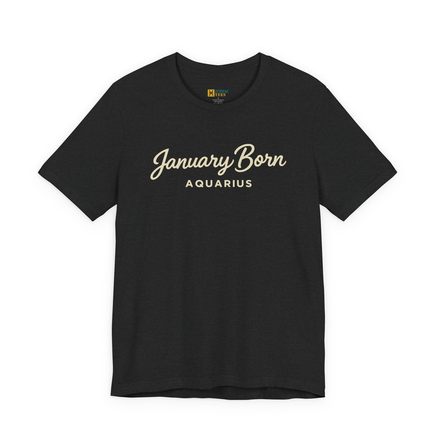 January Born Aquarius T-Shirt – Minimal Zodiac Birthday Tee