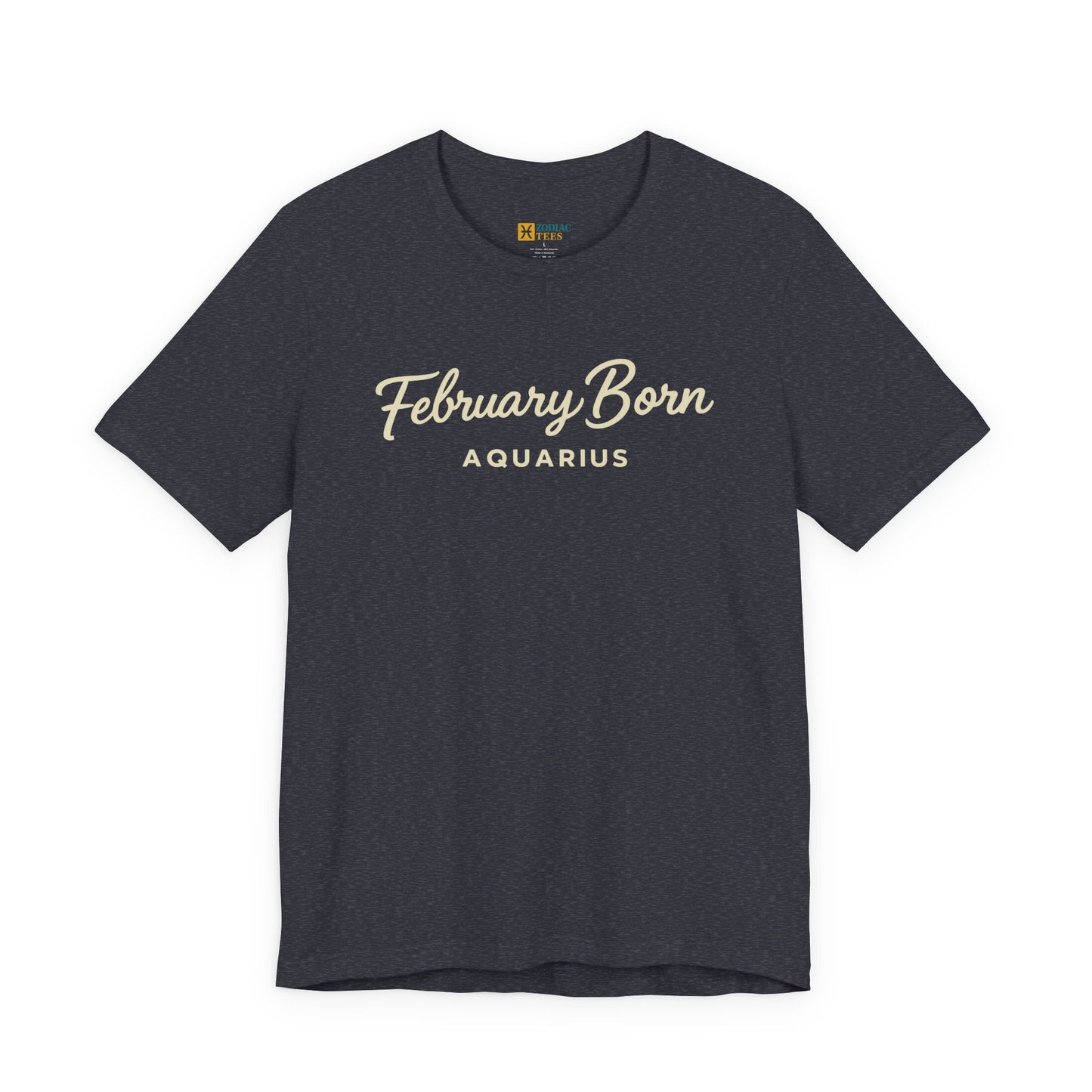 February Born Aquarius T-Shirt – Minimal Zodiac Birthday Tee