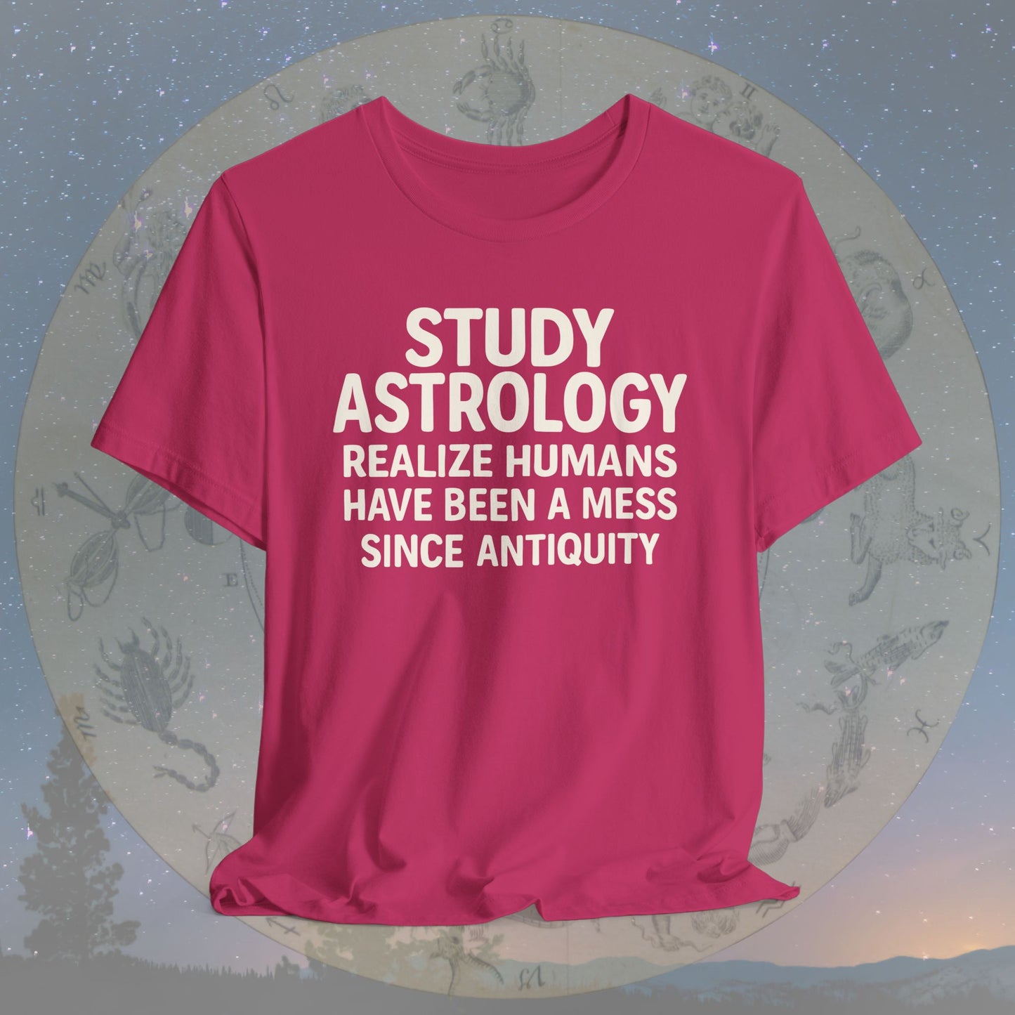 Funny Human Mess Astrology T-Shirt