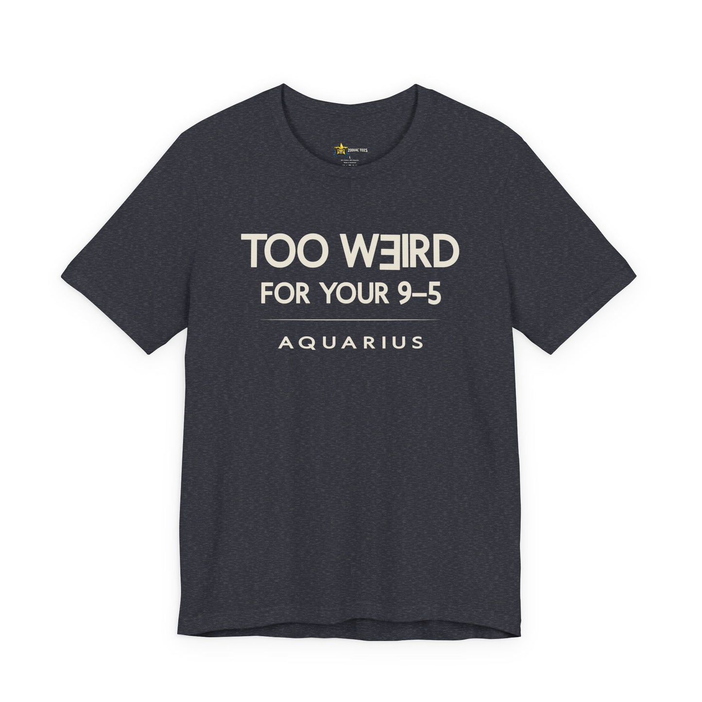 Aquarius Too Weird for Your 9–5 T-Shirt
