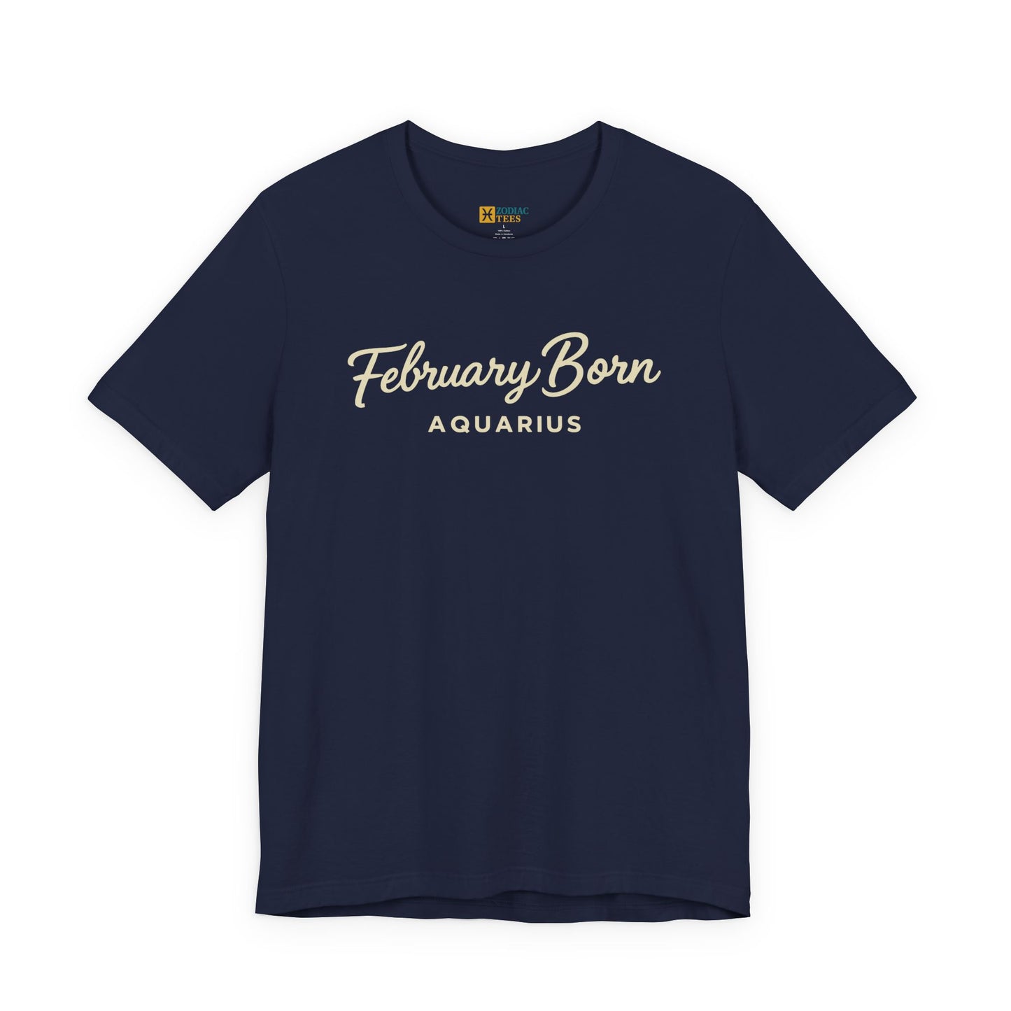 February Born Aquarius T-Shirt – Minimal Zodiac Birthday Tee