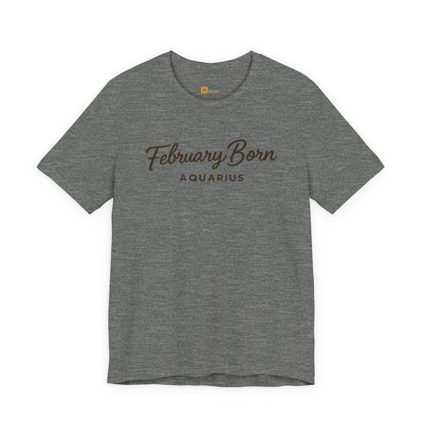 February Born Aquarius T-Shirt – Minimal Zodiac Birthday Tee