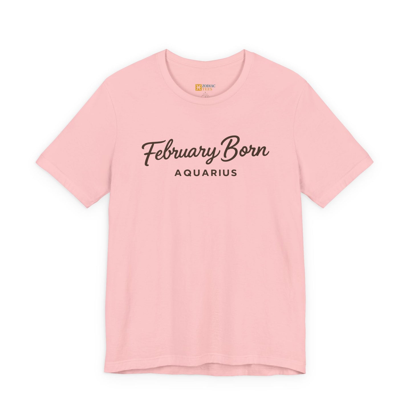 February Born Aquarius T-Shirt – Minimal Zodiac Birthday Tee