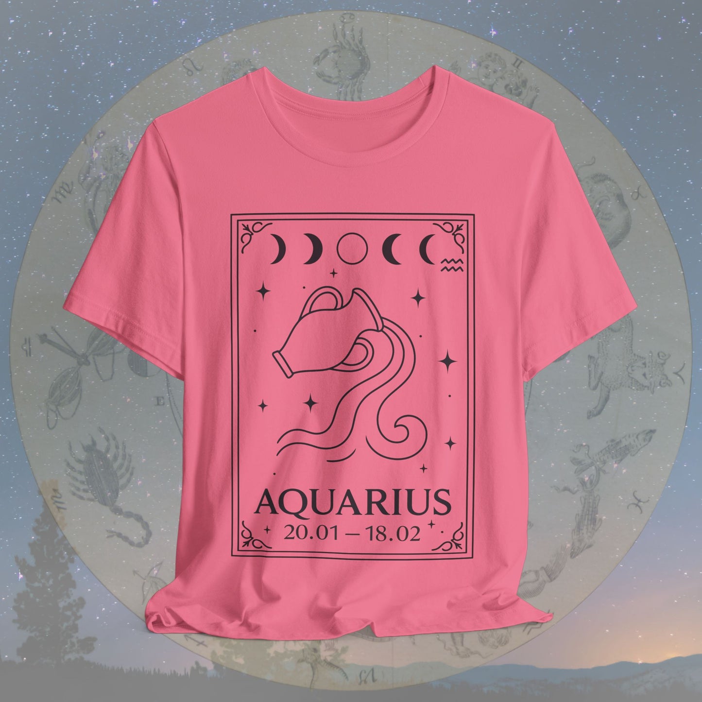 Minimalist Aquarius Zodiac T-Shirt