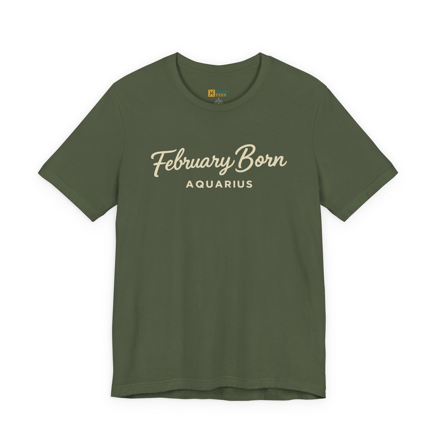 February Born Aquarius T-Shirt – Minimal Zodiac Birthday Tee