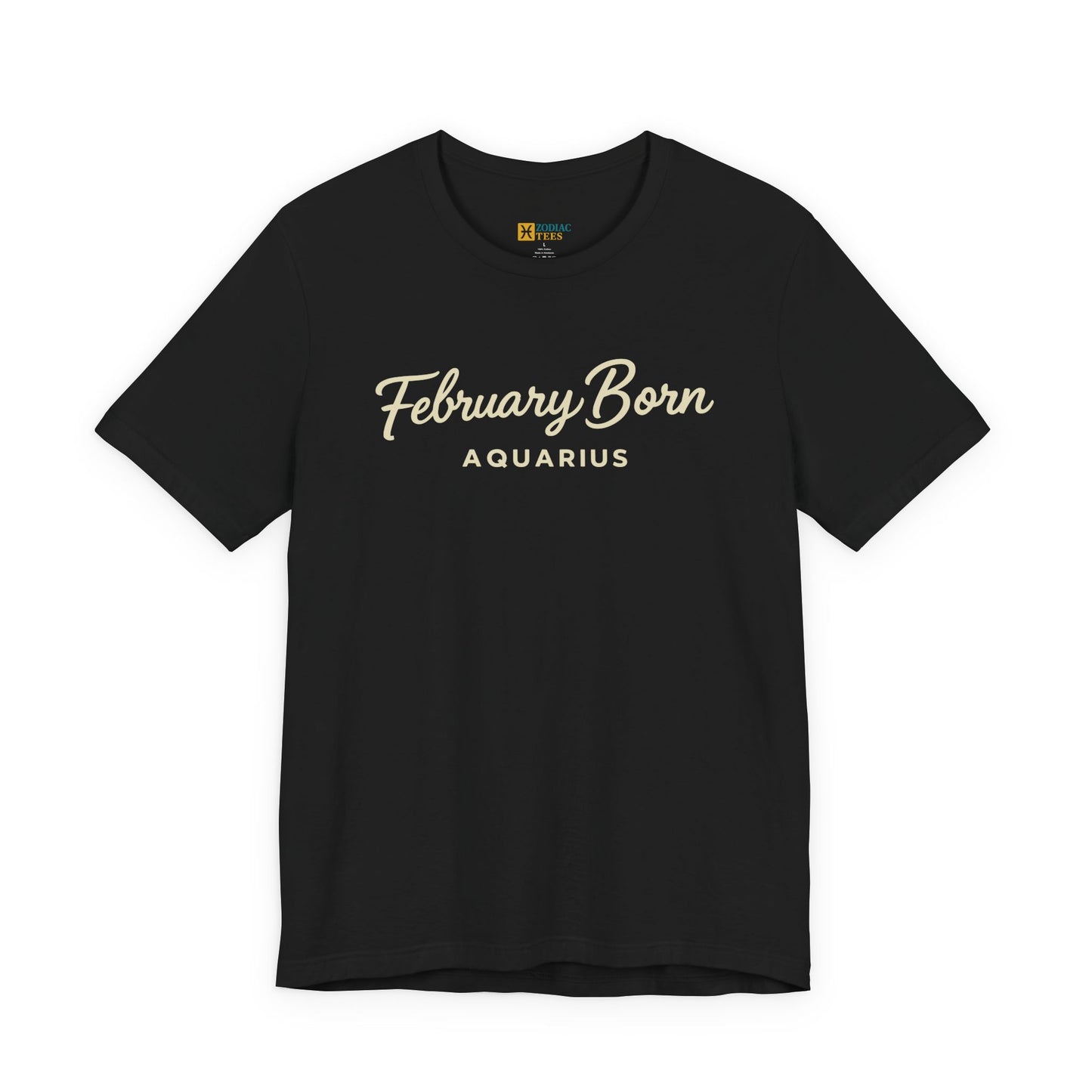 Black T-shirt featuring the text February Born Aquarius in an elegant script font printed across the chest.