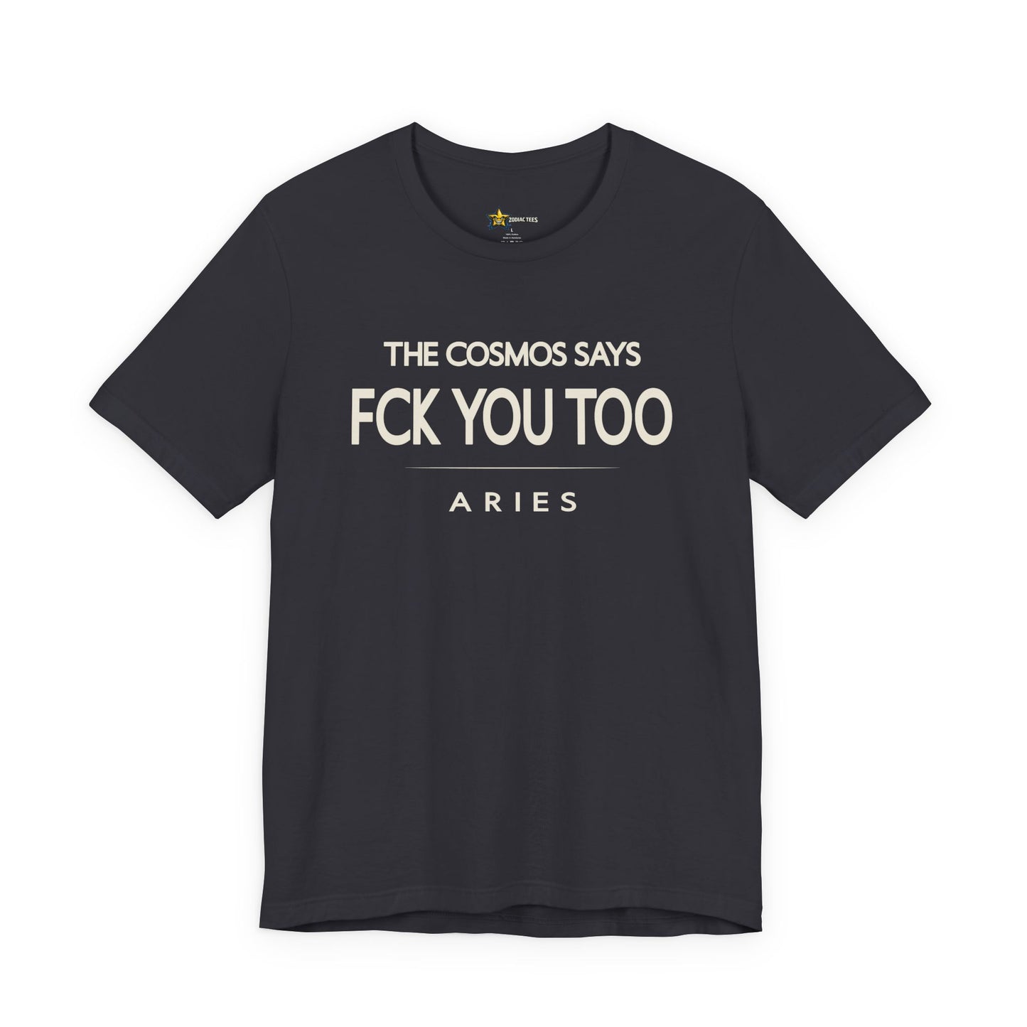Aries Bold No-Nonsense T-Shirt – FCK You Too Attitude Tee